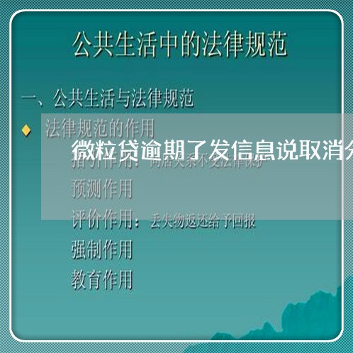 微粒贷逾期了发信息说取消分期/2023061659402