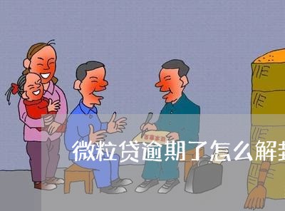 微粒贷逾期了怎么解封/2023072415816