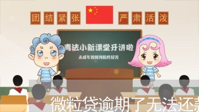 微粒贷逾期了无法还款/2023081505958