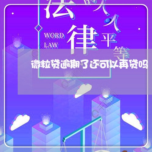 微粒贷逾期了还可以再贷吗/2023061594260