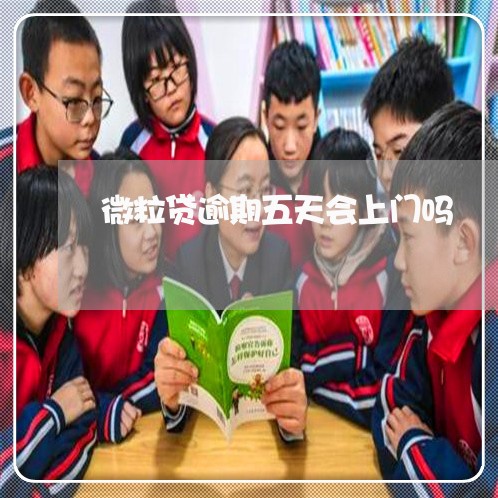 微粒贷逾期五天会上门吗/2023072558462