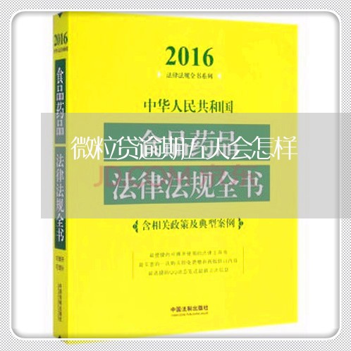 微粒贷逾期五天会怎样/2023072503925