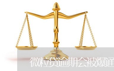 微粒贷逾期会被爆通讯录/2023052569502