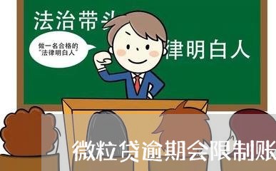 微粒贷逾期会限制账户吗/2023081593826