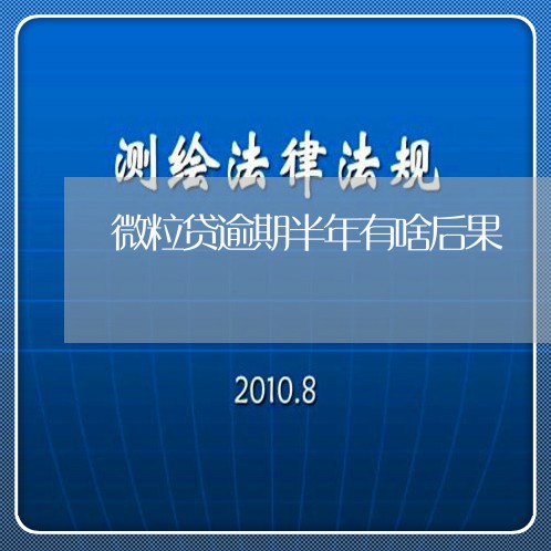 微粒贷逾期半年有啥后果/2023062363625