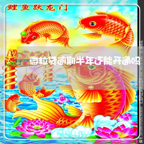 微粒贷逾期半年还能开通吗/2023052718514