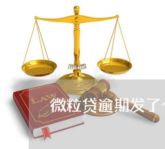 微粒贷逾期发了个司法通告/2023052639381