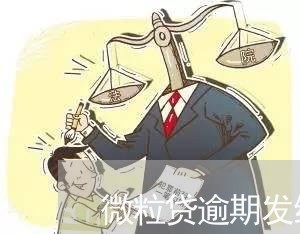 微粒贷逾期发给我的信息/2023072402139