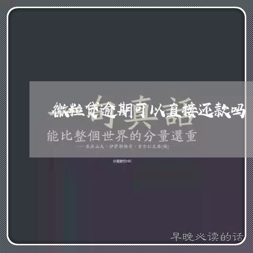 微粒贷逾期可以直接还款吗/2023072414938