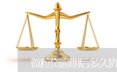 微粒贷逾期后多久协商延期/2023061661403