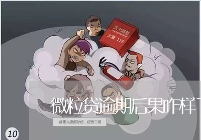 微粒贷逾期后果咋样了图片/2023081658583