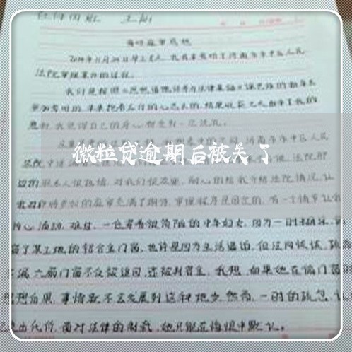 微粒贷逾期后被关了/2023060874824