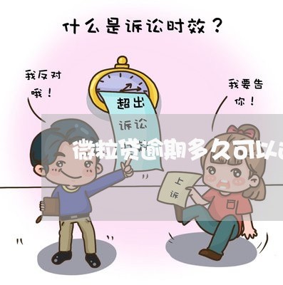 微粒贷逾期多久可以还/2023081549370