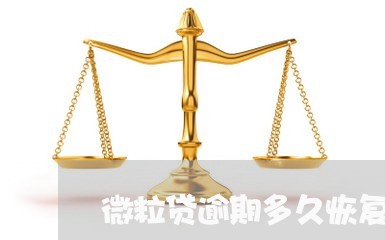 微粒贷逾期多久恢复使用/2023081528268