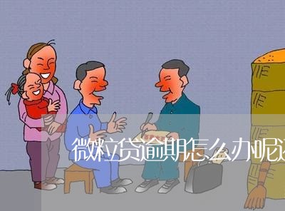 微粒贷逾期怎么办呢还能借吗/2023072392915