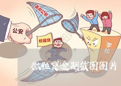 微粒贷逾期截图图片/2023081594140