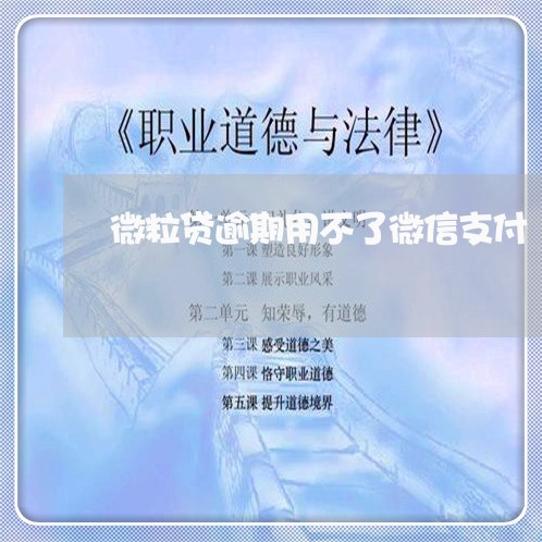 微粒贷逾期用不了微信支付/2023081594604