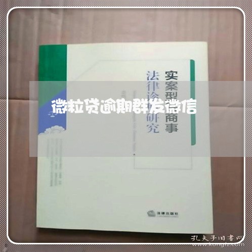 微粒贷逾期群发微信/2023081547161