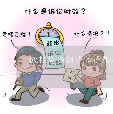 微粒贷逾期还上还能用吗/2023062317248