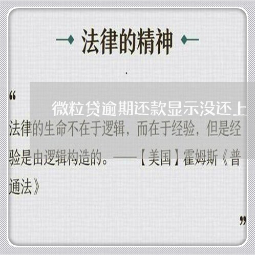 微粒贷逾期还款显示没还上/2023081605138