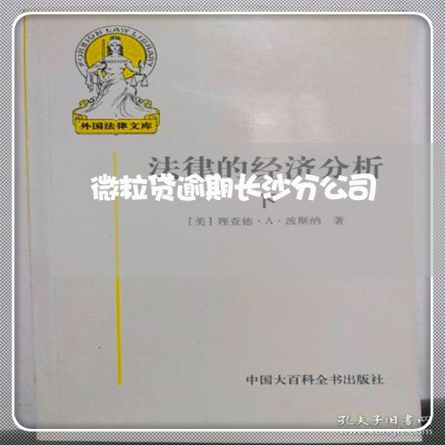 微粒贷逾期长沙分公司/2023081562604