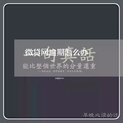 微贷网逾期怎么办/2023100885048