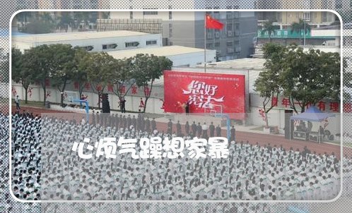 心烦气躁想家暴/2023090729570