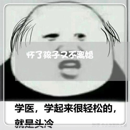 怀了孩子又不离婚/2023092453926