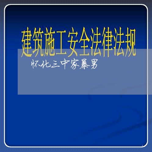 怀化三中家暴男/2023091527959