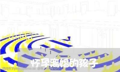 怀孕离婚的孩子/2023121704937