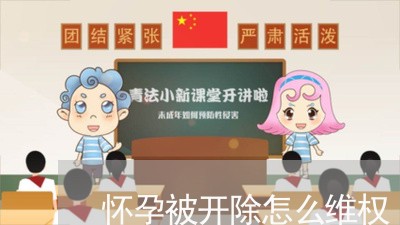 怀孕被开除怎么维权/2023052682604