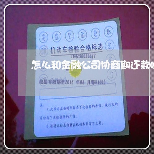 怎么和金融公司协商期还款呢/2023100639572