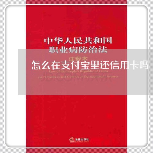 怎么在支付宝里还信用卡吗/2023081353947