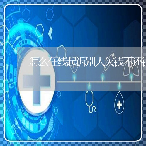 怎么在线起诉别人欠钱不还钱/2023103137460