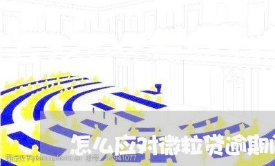 怎么应对微粒贷逾期问题/2023081561590