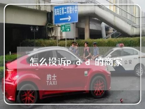 怎么投诉pdd的商家/2023032917583