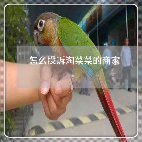 怎么投诉淘菜菜的商家/2023030105815