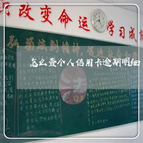 怎么查个人信用卡逾期明细/2023050139389