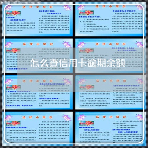 怎么查信用卡逾期余额/2023112596027