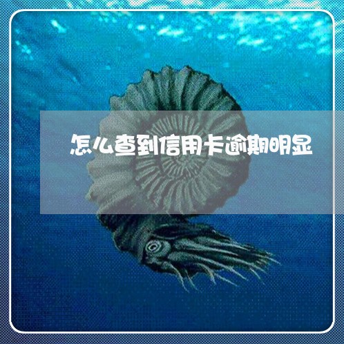 怎么查到信用卡逾期明显/2023060309304