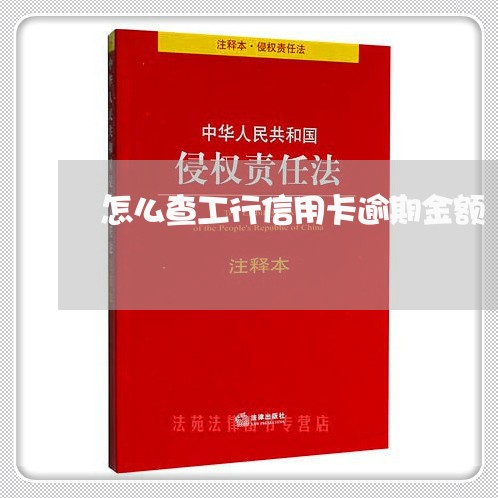 怎么查工行信用卡逾期金额/2023120684914