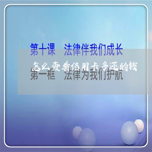 怎么查看信用卡多还的钱/2023080327146