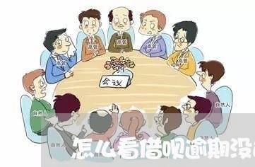 怎么看借呗逾期没还完/2023073153725