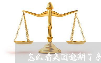 怎么看美团逾期了多久没有/2023061589626