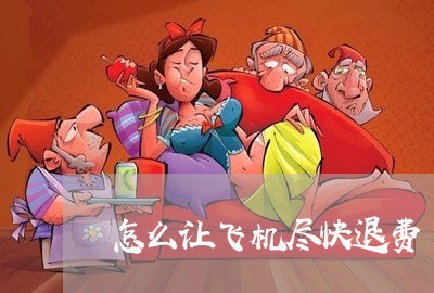 怎么让飞机尽快退费/2023061695039