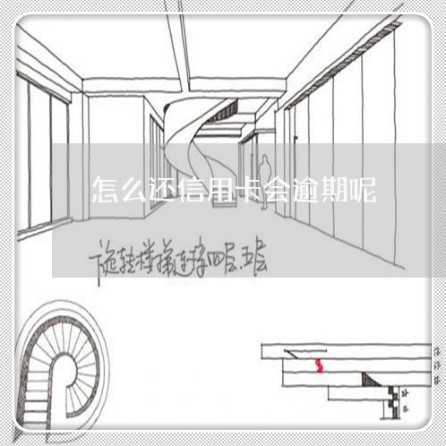 怎么还信用卡会逾期呢/2023111628350