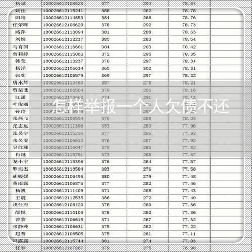 怎样举报一个人欠债不还/2023120403926