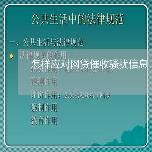 怎样应对网贷催收骚扰信息/2023102452614