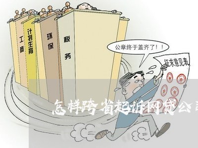 怎样跨省起诉网贷公司/2023090528171