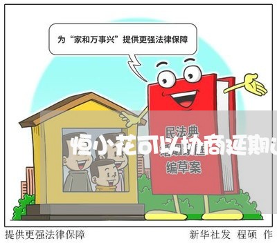 恒小花可以协商延期还款吗/2023092311525